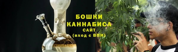 шишки Козельск