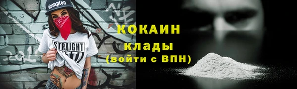 шишки Козельск
