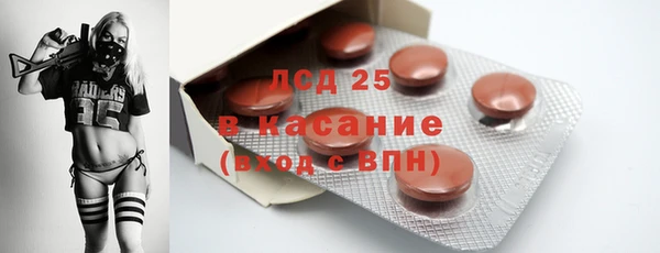 шишки Козельск