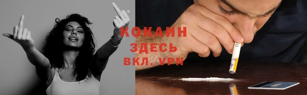 шишки Козельск