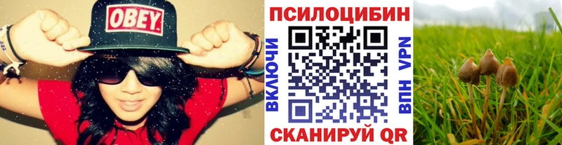 Купить где  Нижний Ломов  Галлюциногенные грибы Magic Shrooms 